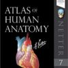 Atlas of Human Anatomy 7th edition by Frank H. Netter book