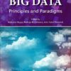 Big Data Principles and Paradigms
