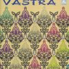 Textile Arts Of India Vastra (with Cd)